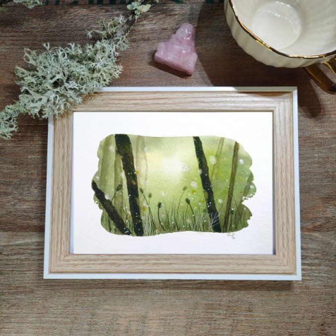 Forêt Mysterieuse
